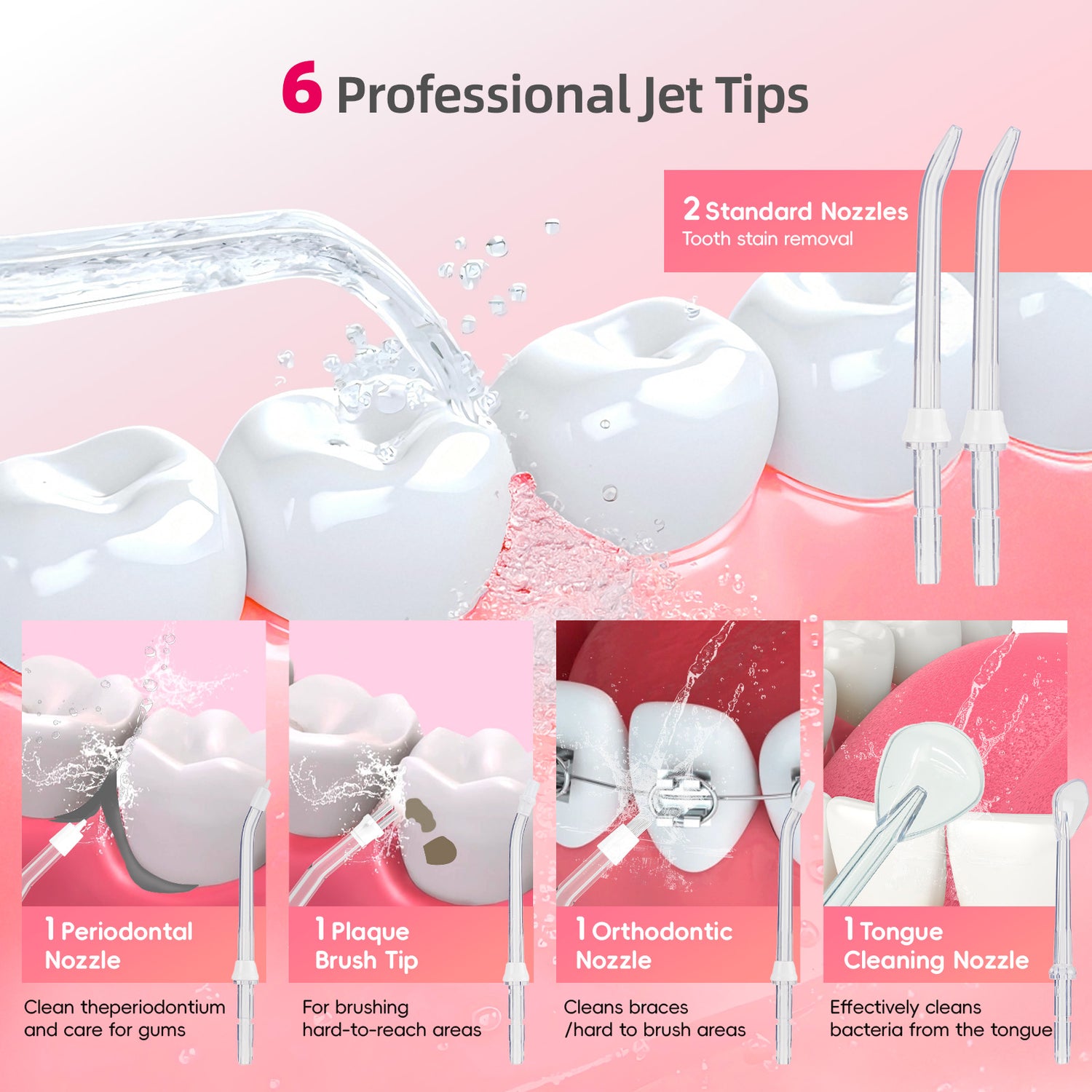 Included 5 Flosser Tips